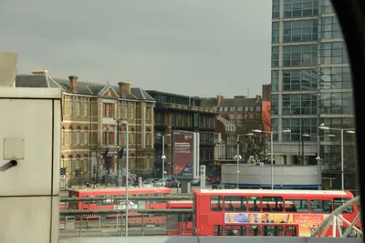 DSC_1363 (Large).JPG